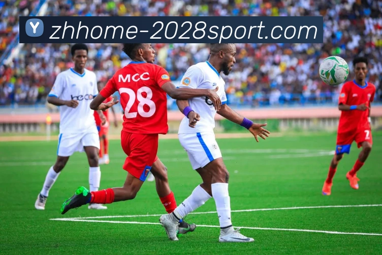 2028体育官网平台生态图